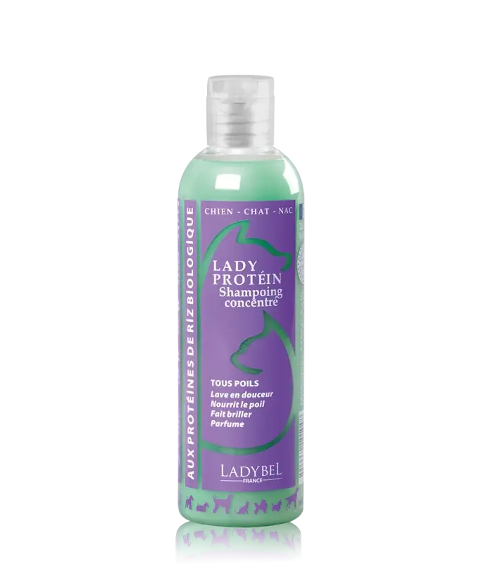 Lady Protein Shampoo | Väl omtyckt