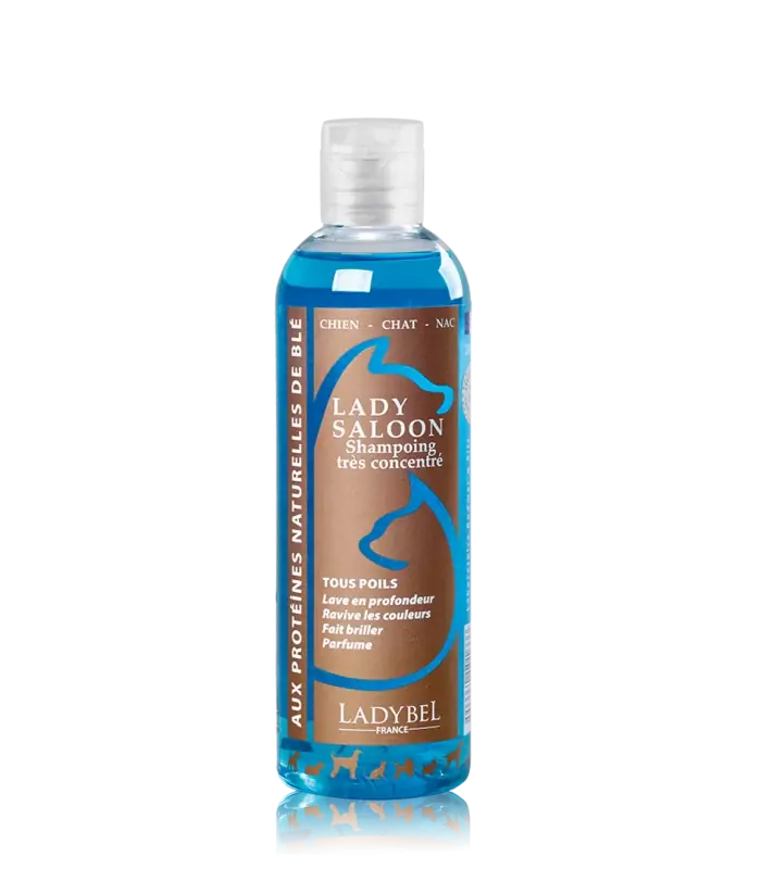 Premiumkvalitet | Lady Saloon Shampoo