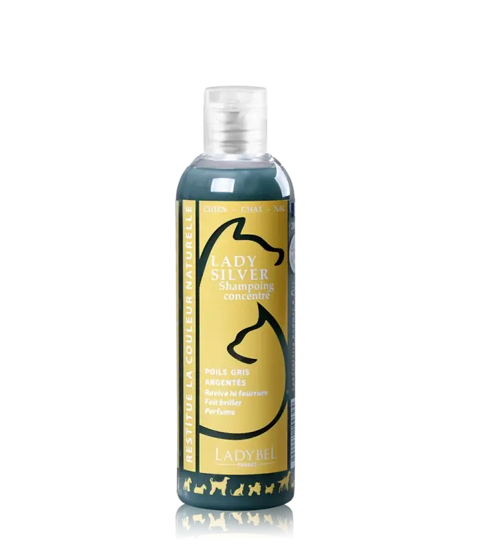 Lady Silver Shampoo - Försäljningssuccé