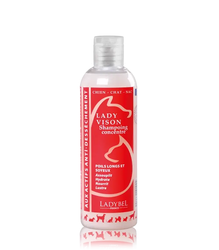 Lady Vison Shampoo - Dagens erbjudande
