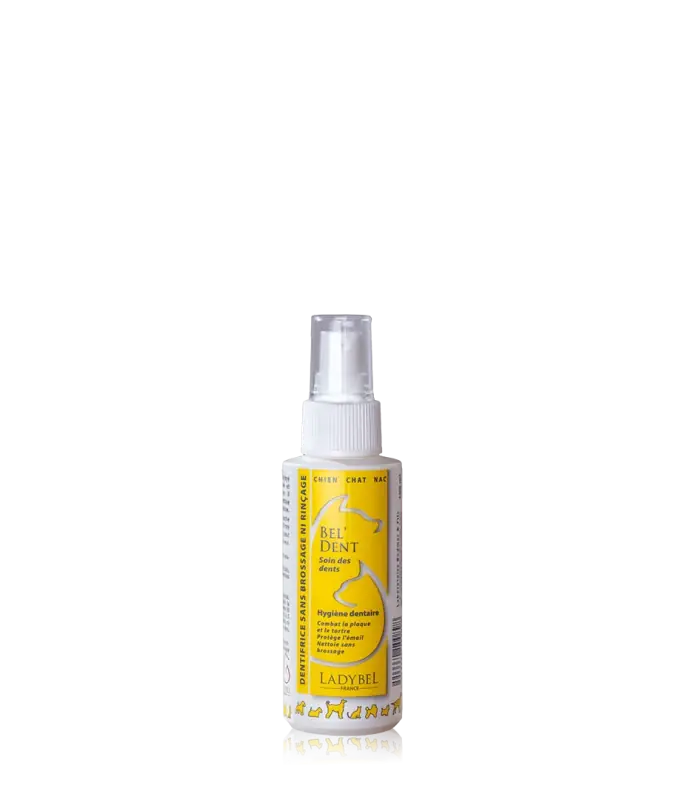 Ladybel Bel Dent Liquid Toothpaste - Kundernas favorit
