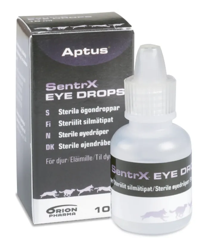 SentrX Eye Drops | Lägg i varukorg