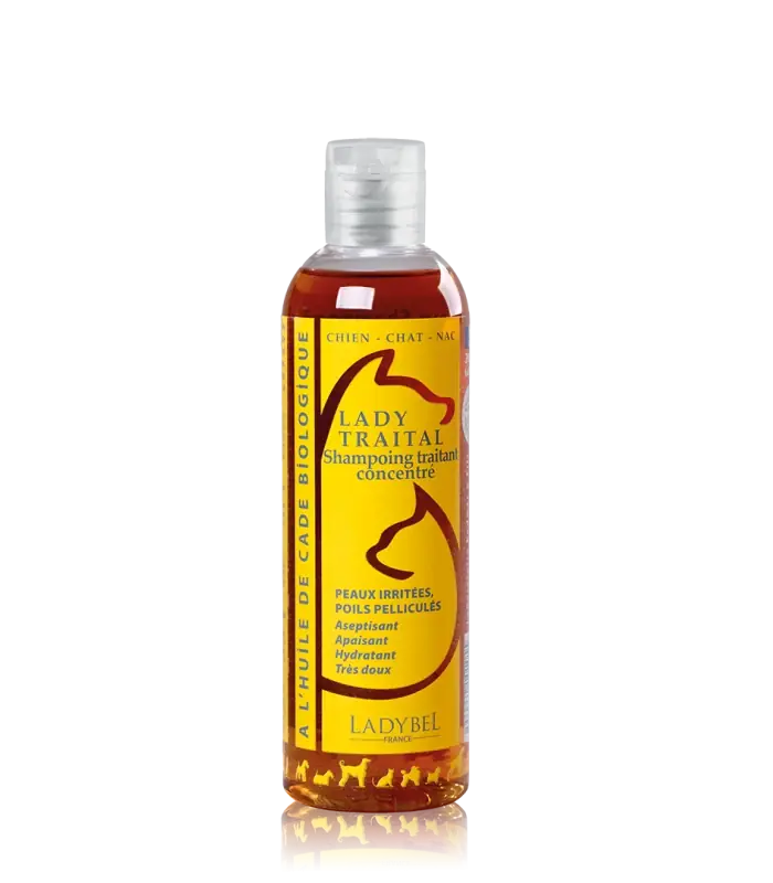 Lady Traital Shampoo | Kundfavorit