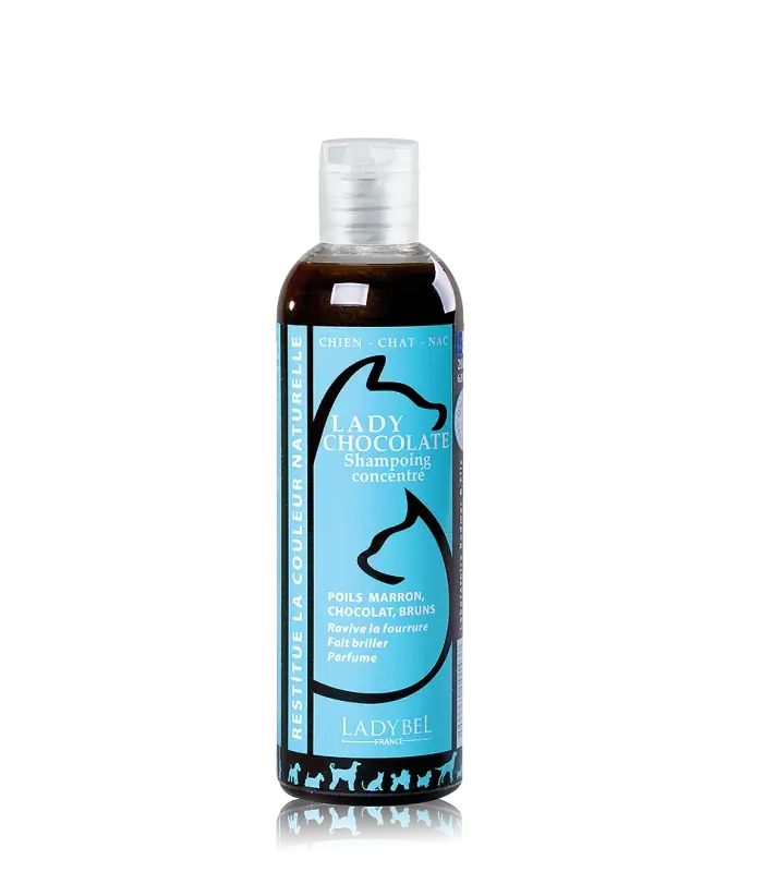 Nyhet i webbutiken - Lady Chocolate Shampoo