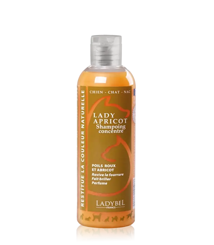 Favorit hos kunderna | Lady Apricot Shampoo