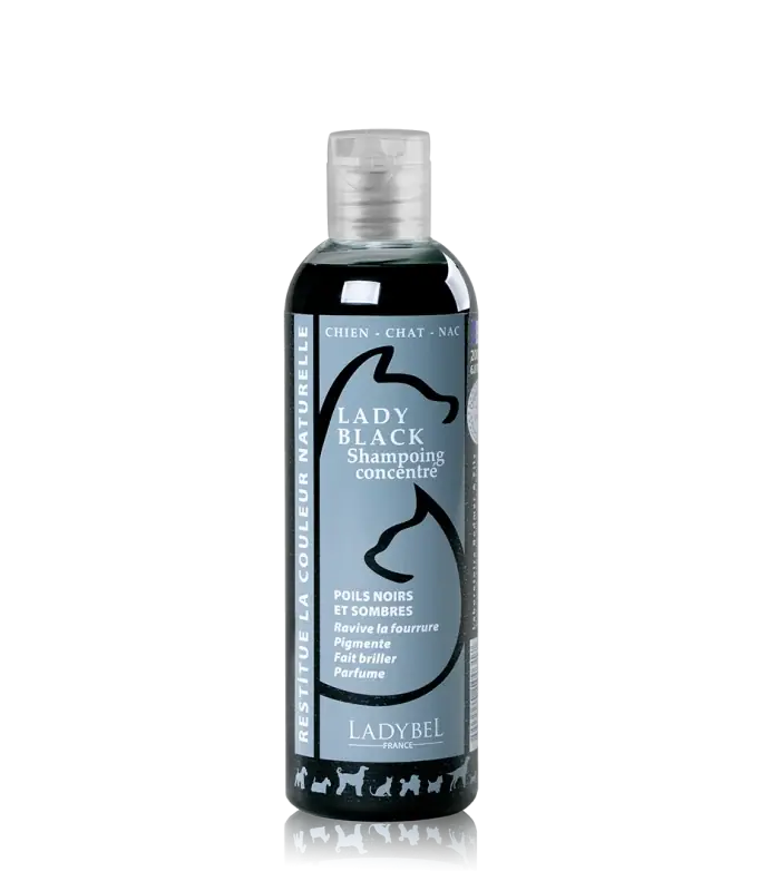 Lady Black Shampoo - Lågt pris
