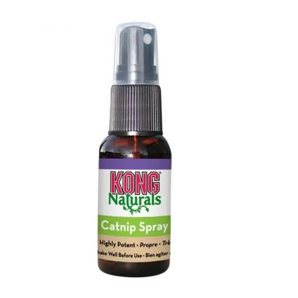 KONG Catnip Premium spray - Direkt från fabriken