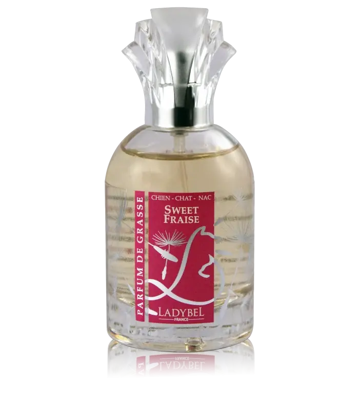Kundfavorit - Ladybel "Eau de parfum" Sweet Fraise