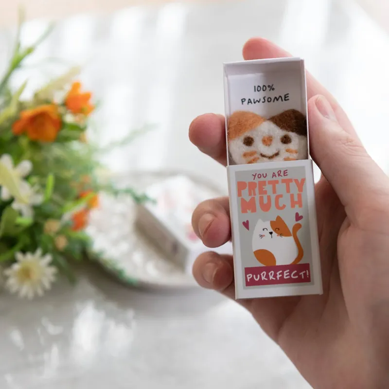 You‘re Purrfect Wool Felt Cat In A Matchbox - Kan beställas online