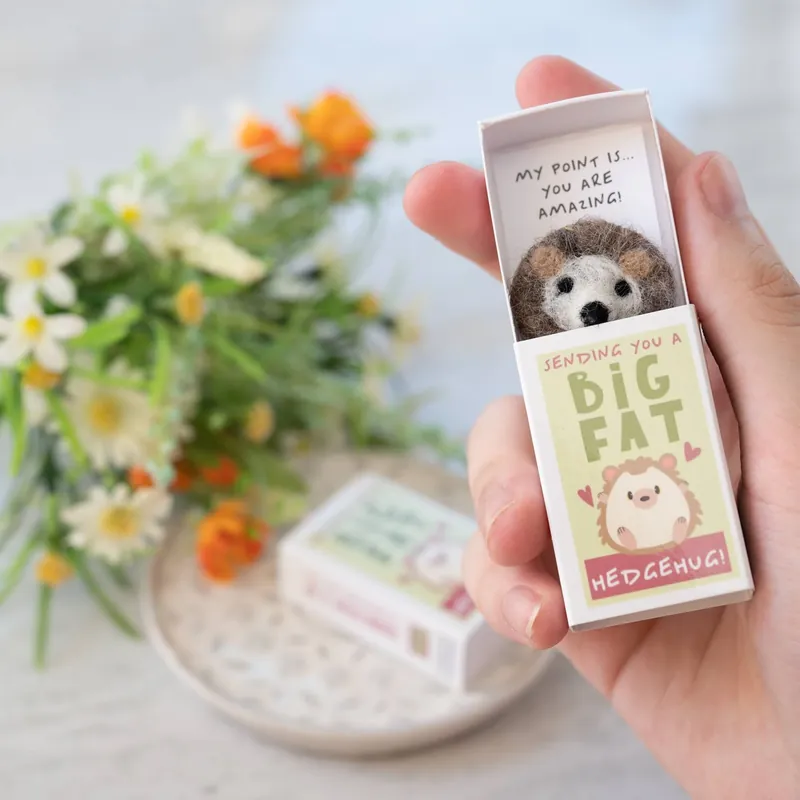 Köp idag | Sending You A Hedgehug In A Matchbox