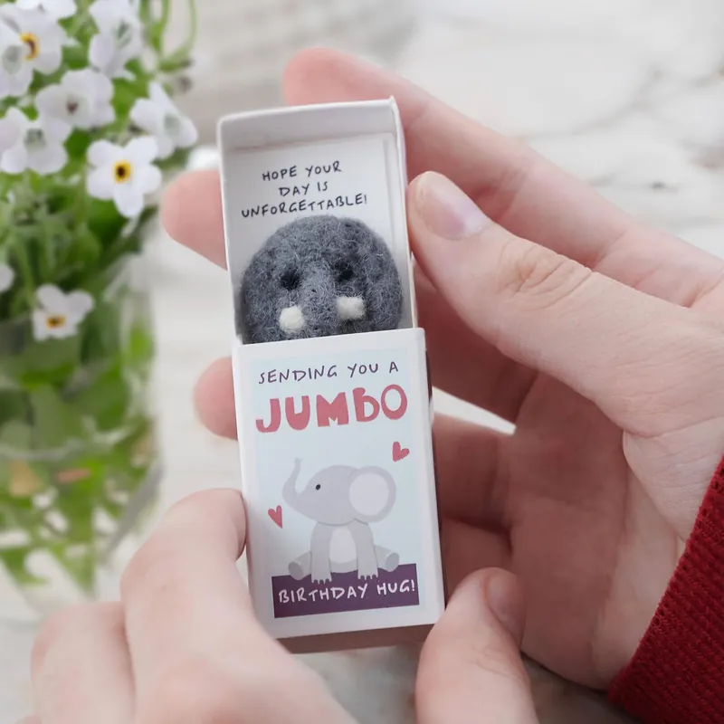 Sending You A Jumbo Birthday Hug In A Matchbox | Favorit hos kunderna