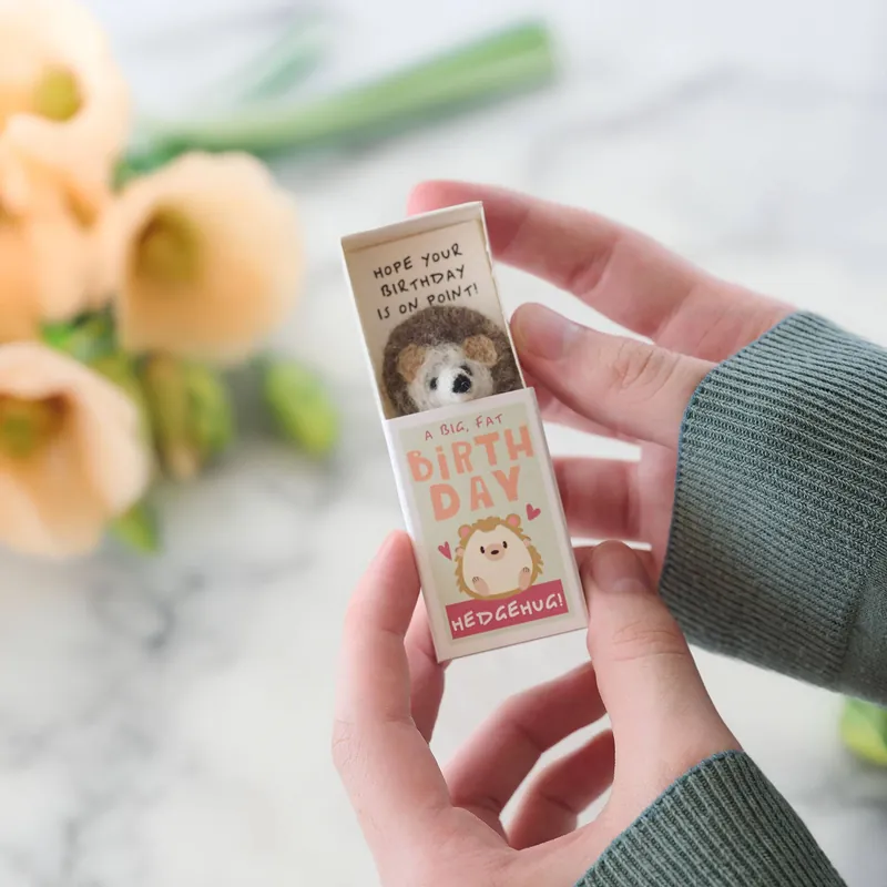 Sending You A Birthday Hedgehug In A Matchbox | Kundfavorit