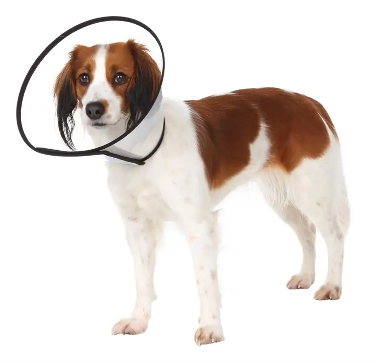 Recovery Collar with Velcro - Mycket uppskattad