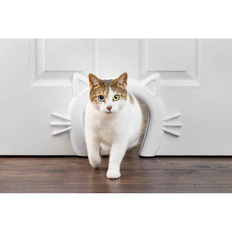 Nästan slut | Cat Corridor Indoor Passage