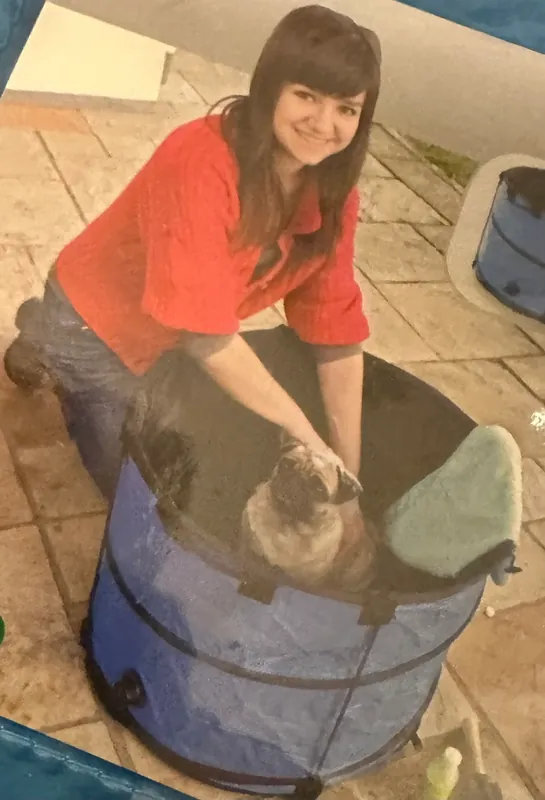 Finns nu - Quick Wash Collapsible Pet Tub
