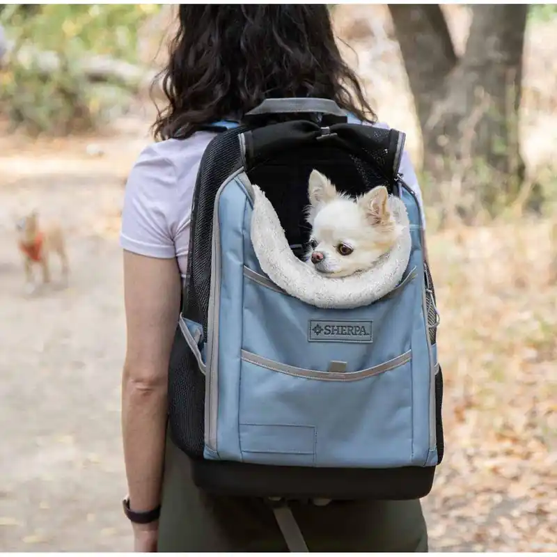 Nytt i sortimentet - Sherpa Elevation Pet Backpack