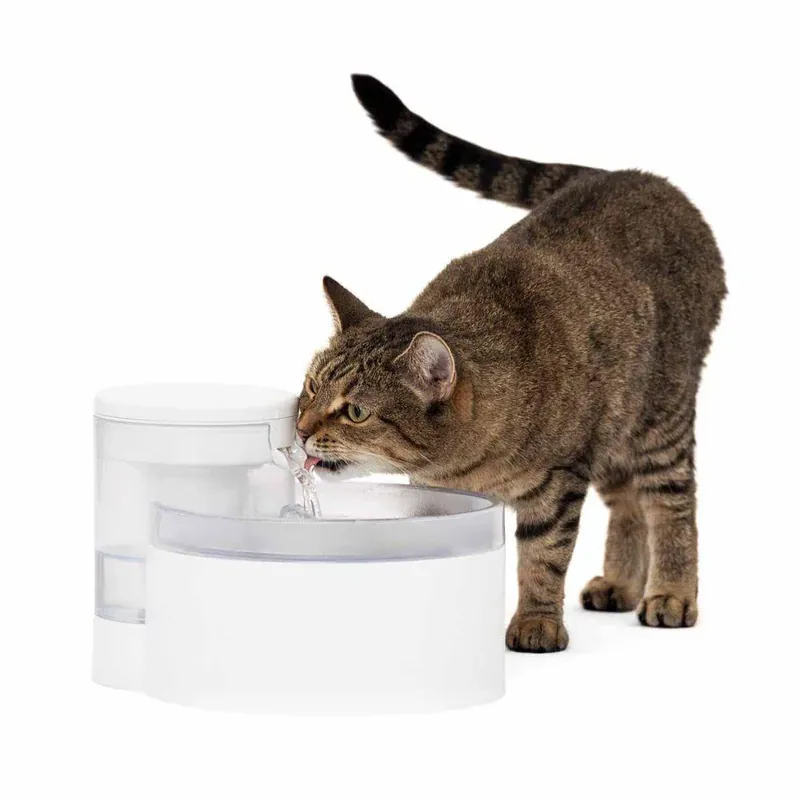 Pumpless Water Fountain Outlast | Begränsat lager