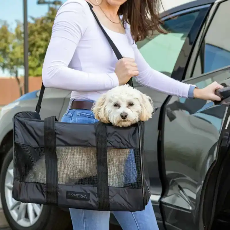 Enkel beställning - Sherpa Deluxe Pet Carrier Large