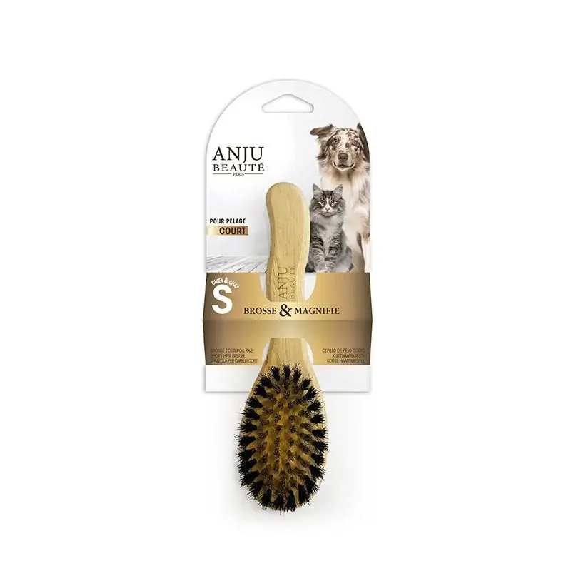 Reapris - Short Hair Brush S