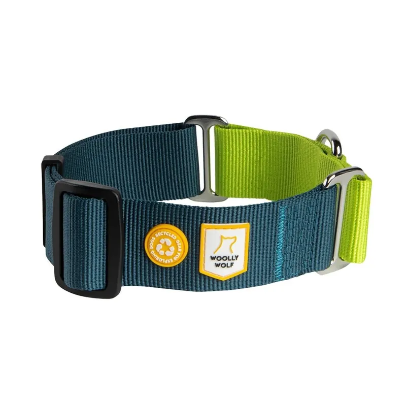 Precis lanserat - Woolly Wolf Color Block Hundhalsband Halvstryp Blå/Grön