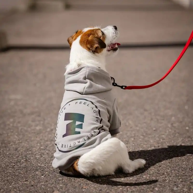 Sista dagarna | Feel Active Bromma Hundtröja med Luva Grå