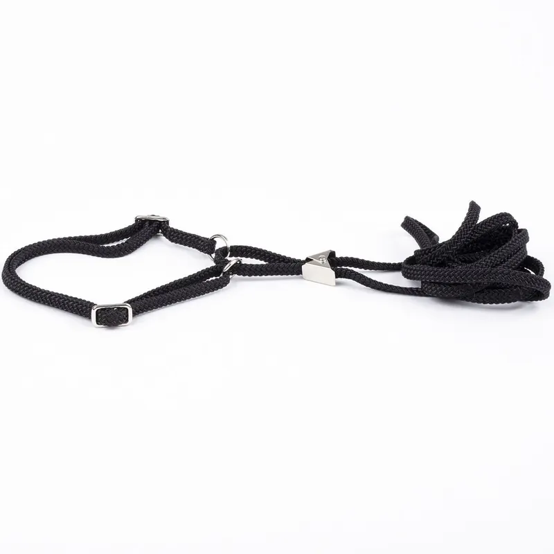 Show Dog Utställningskoppel med Halsband Halvstryp Svart - Specialerbjudande