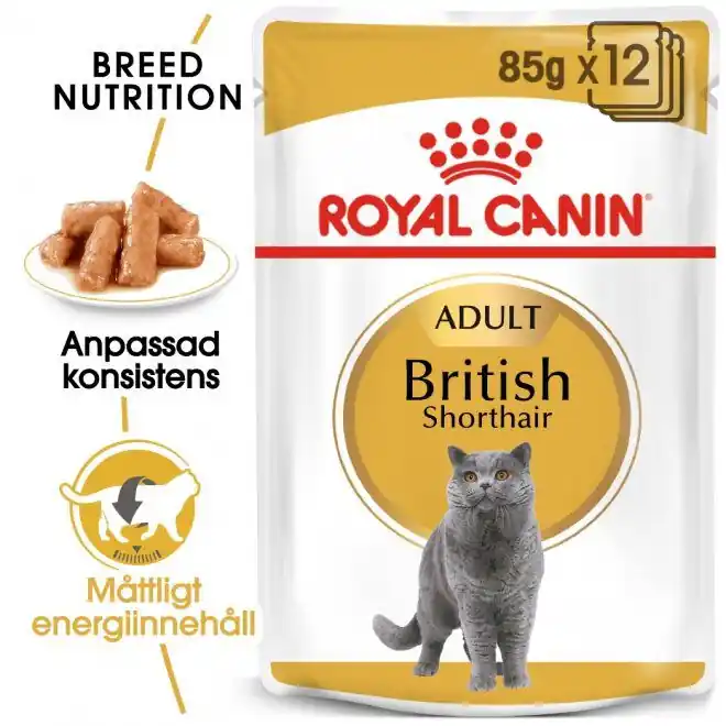 Begränsat lager | Royal Canin British Shorthair Wet 12x85 g