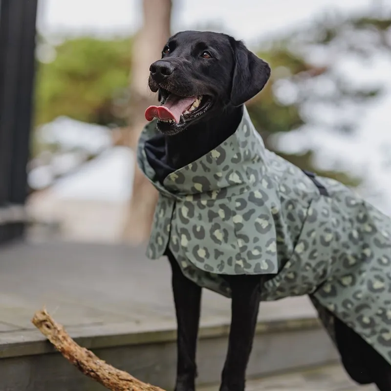 PAIKKA Visibility Lite Regnjacka till Hund Leopard Grön | Fynd