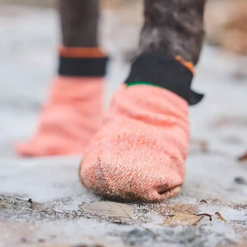 Non-Stop Dogwear Protector Light Hundsocka 4 st - Extra rabatt