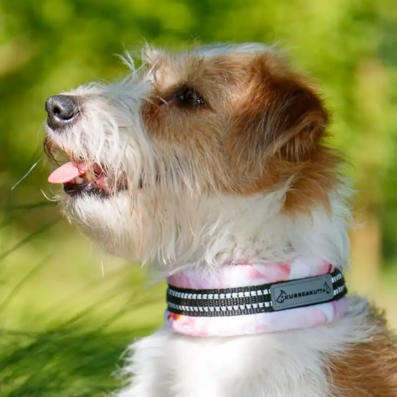 Kusse & Kutta Hundhalsband Mjuk Ljusrosa | Precis lanserat