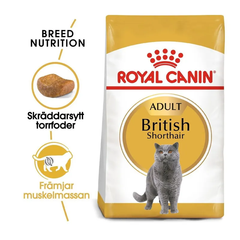 Royal Canin British Shorthair - Favorit