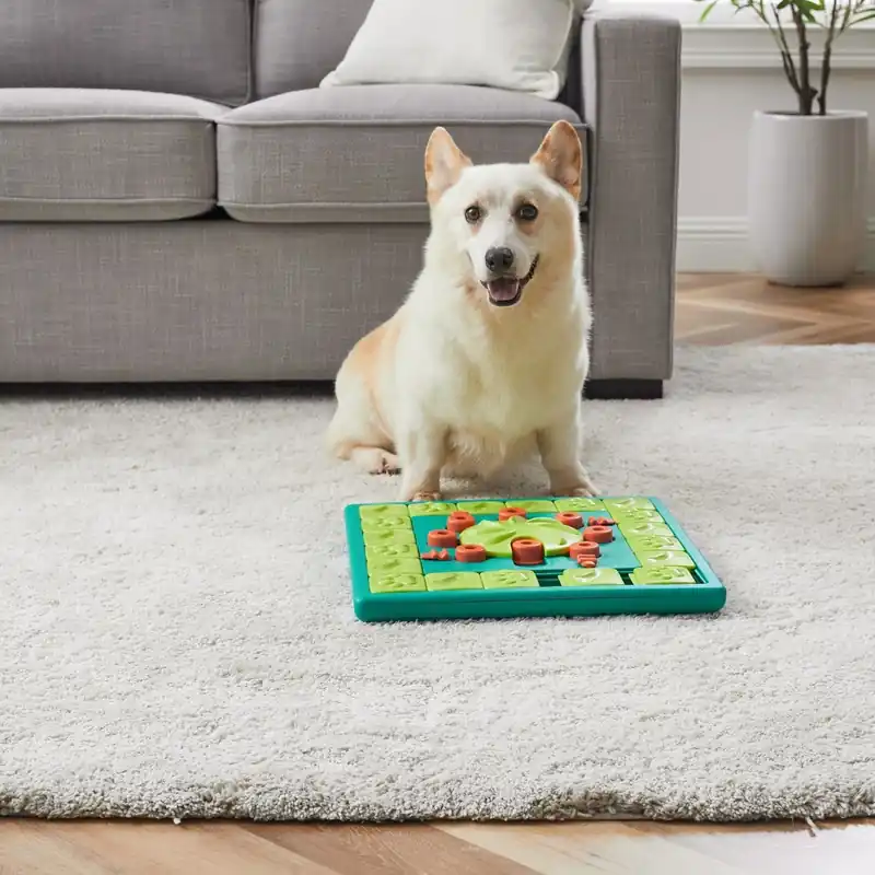 Nina Ottosson Dog Multi Puzzle Grön | Expressfrakt