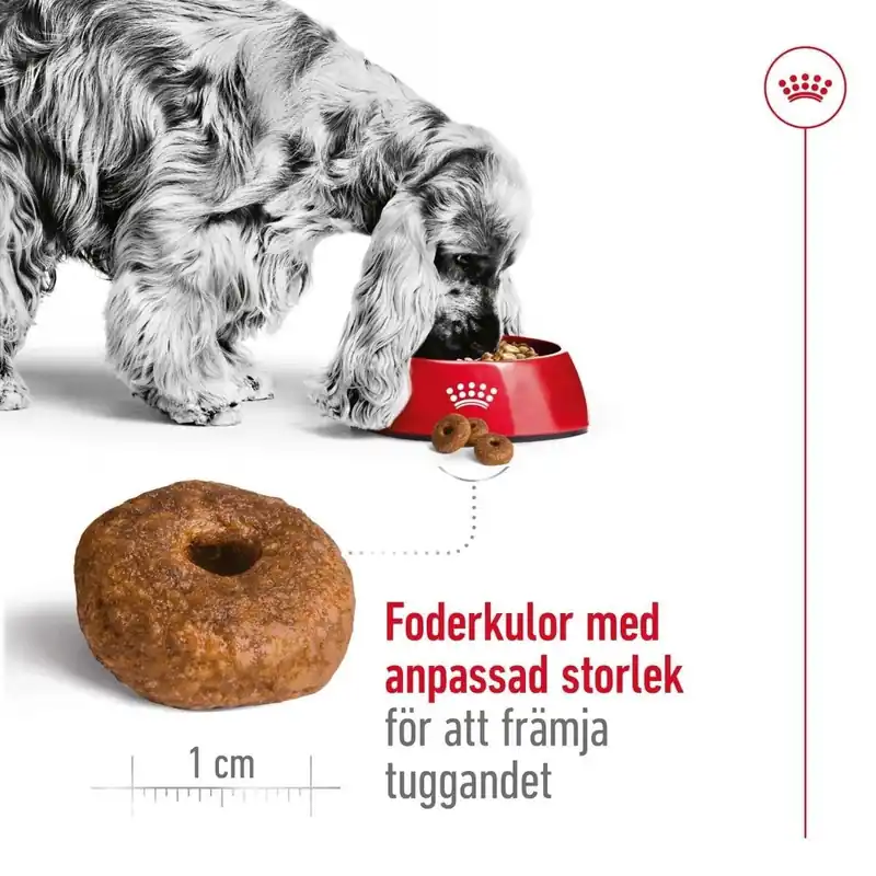 Nytt hos oss - Royal Canin Medium Ageing 10+