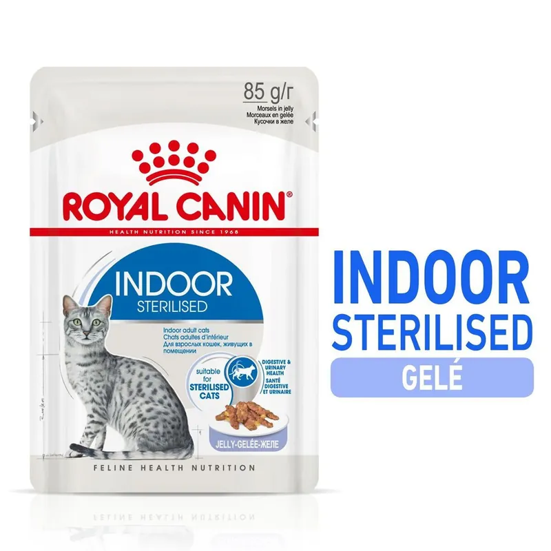 Royal Canin Indoor in Jelly Adult 12x85 g | Mycket efterfrågad