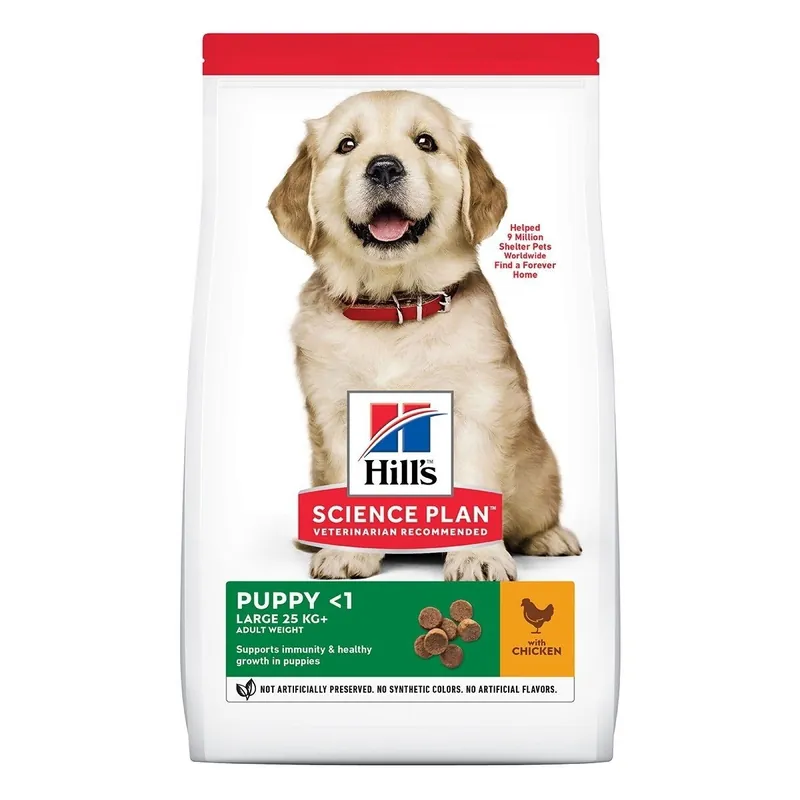 Rekommenderas | Hills Science Plan Puppy Large Breed Chicken