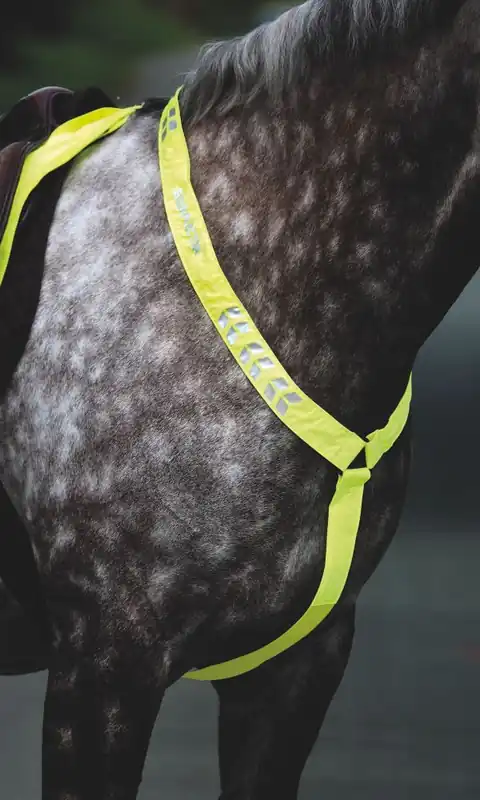 Equi-Flector Reflex till häst - Gul / C/F - Dagens deal