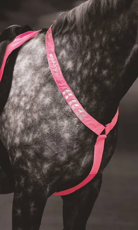 Equi-Flector Reflex till häst - Rosa / C/F | Direkt från tillverkaren
