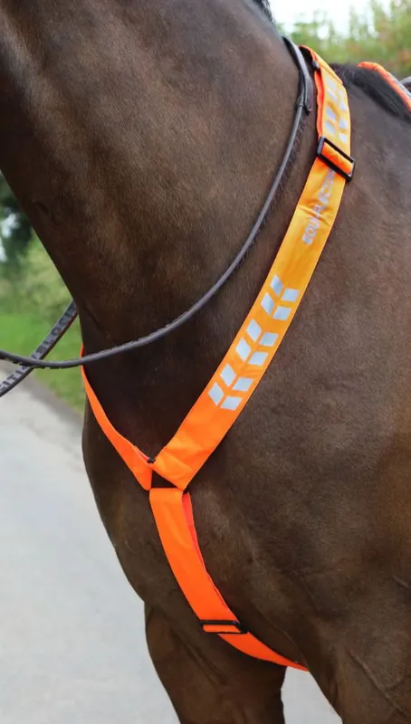Snabb leverans | Equi-Flector Reflex till häst - Orange / P/C
