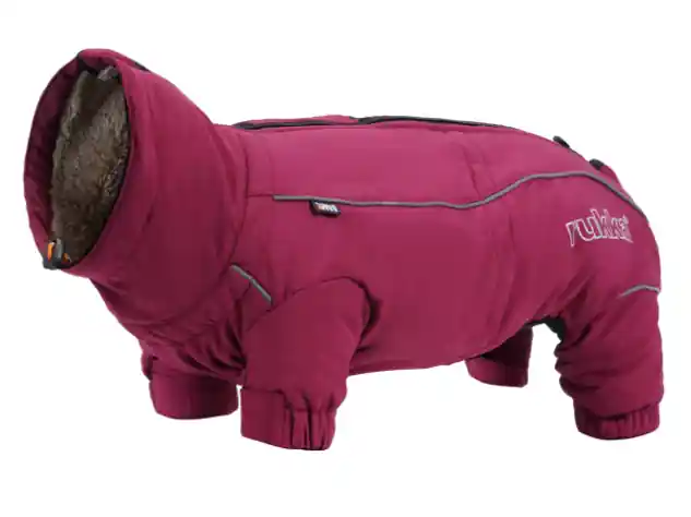 Handla säkert - Thermal Overall Short legs till Hund - 45M / Vinröd