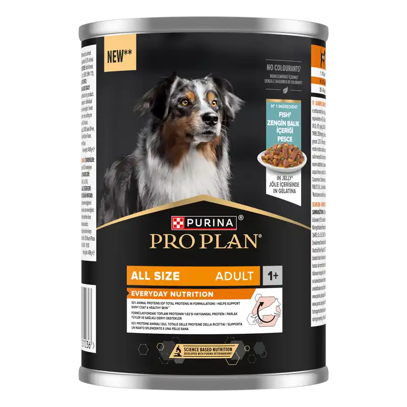 Snabb leverans - Everyday Nutrition Våtfoder Fisk till hund - 12 x 400 g