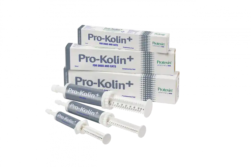 Protexin Pro-Kolin+ 60 ml - Premium
