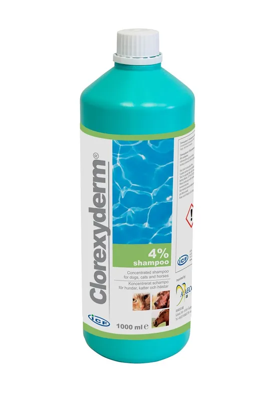 Klorhexidinschampo ICF Clorexyderm Shampoo 4% 1000 ml - Spara mer