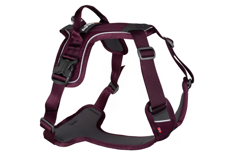 Ramble Harness - Lila XS - Trygg betalning
