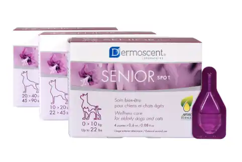 Spot-on Senior för hund - Small (4 x 0,6 ml) | Fynd