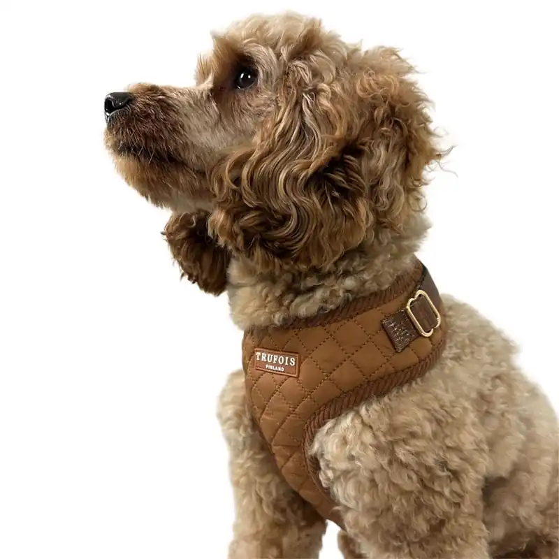 Trufois Lite Hundsele Brun - Hög kvalitet