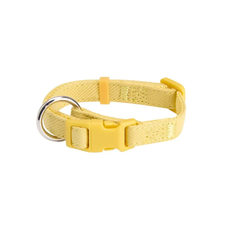 Little&Bigger Puppy Basics Taffi Hundhalsband Limegrön - Professionell kvalitet
