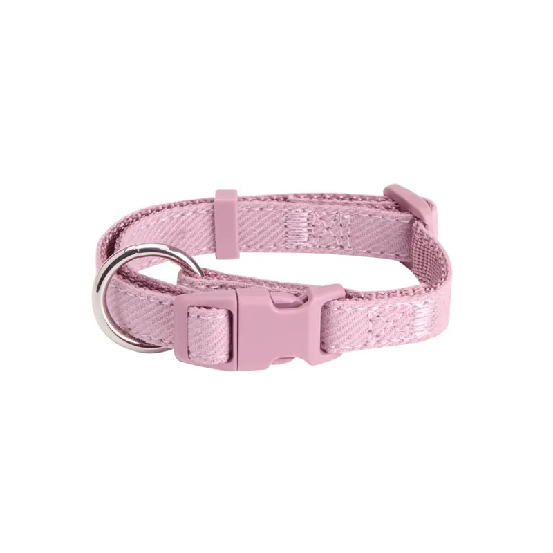 Little&Bigger Puppy Basics Taffi Hundhalsband Lila - Erbjudandet går snart ut