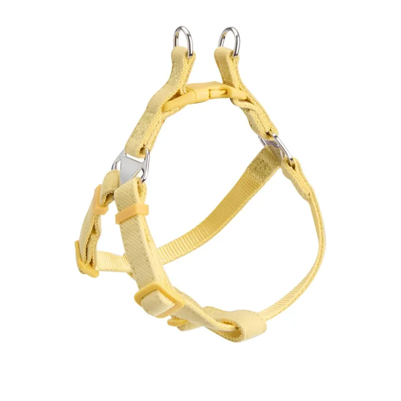 Little&Bigger Puppy Basics Taffi Step-in Hundsele Limegrön | Deal