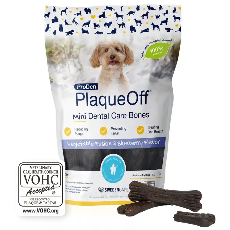 Populär - ProDen PlaqueOff® Mini Dental Bone Blåbär Tuggben till Hund - 340 g