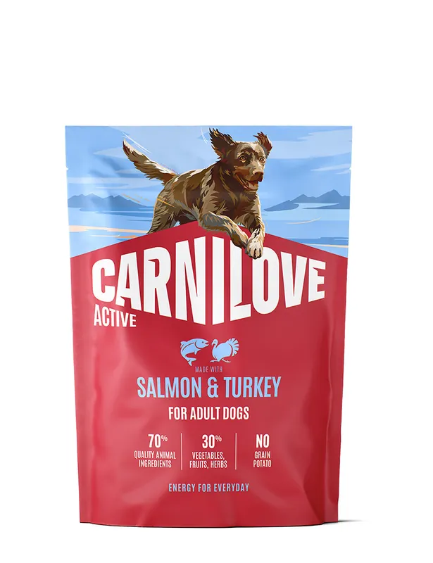Salmon & Turkey Adult Torrfoder för Vuxna Hundar - 1,5 kg | Bästsäljare
